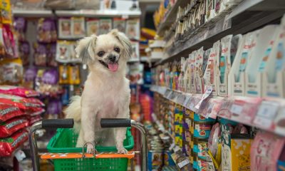 These Pet Stores Orange County Will Have You Wagging Your Tail With Happiness