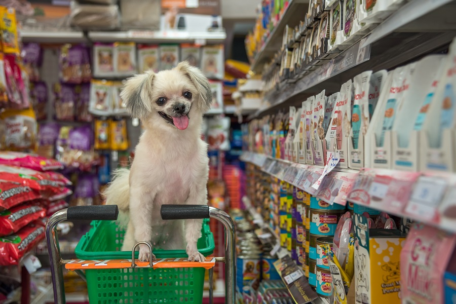 These Pet Stores Orange County Will Have You Wagging Your Tail With Happiness