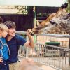 Orange-County-Events-where-the-family-can-enjoy-The-Holidays-with-animals