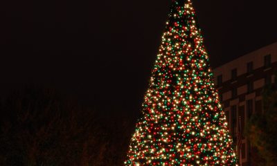 You’ll-Have-A-Great-Time-At-These-Tree-Lighting-Ceremonies-Orange-County