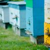 Bee-Removal-Service-Providers-Orange-County-Can-Tell-You-What-It-Takes-To-Create-a-Bee-Hotel