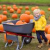 Know-What-Orange-County-Events-To-Attend-While-Visiting-Orange-County-In-The-Fall-Season