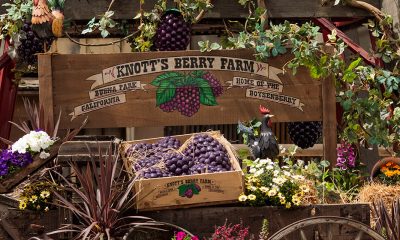 Knott’s-Berry-Farm’s-Boysenberry-Festival