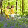 Children-Need-A-Stinging-Insect-Education-From-Bee-Removal-Professionals