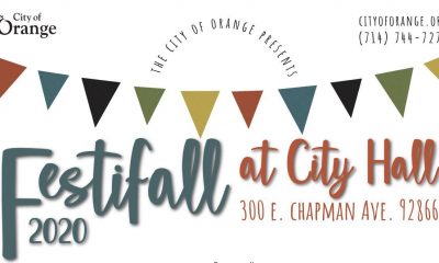 Partake In Orange County Events like the Festi-Fall at City Hall