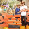 Irvine-Park-Railroad-Pumpkin-Patch