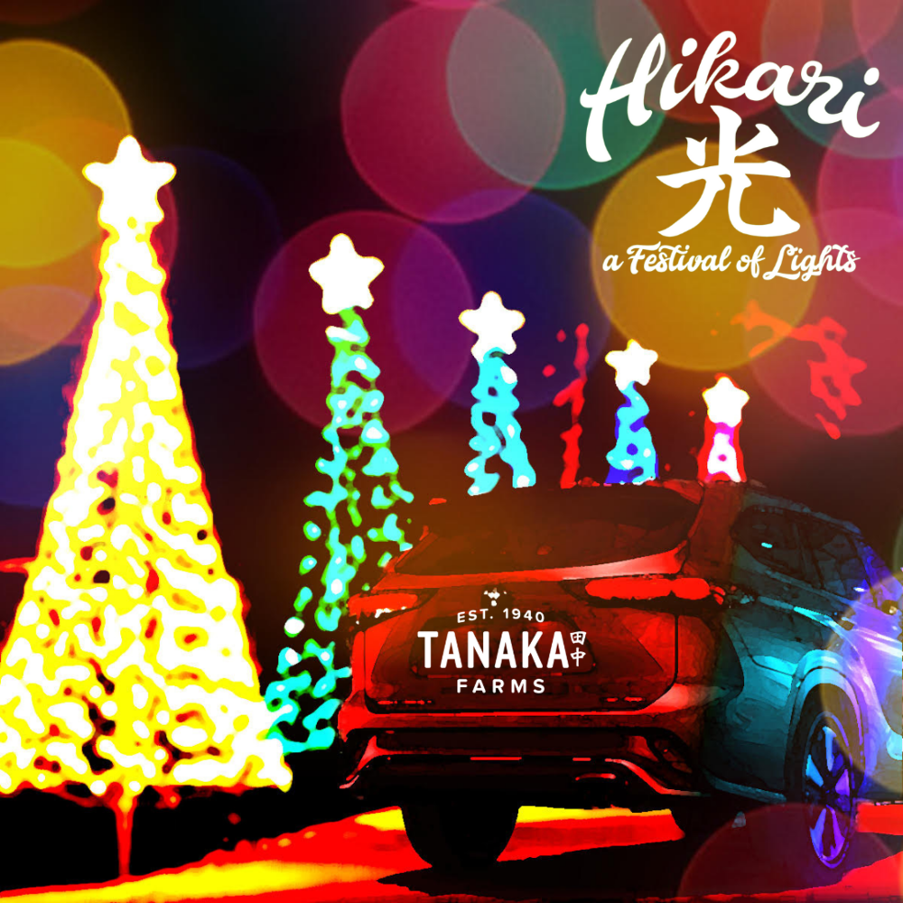 Hikari-festival-of-lights