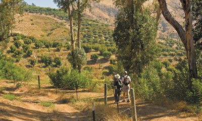 Hiking-On-The-Orchard-Hills-Loop-In-Irvine