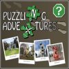 Puzzling-Adventures