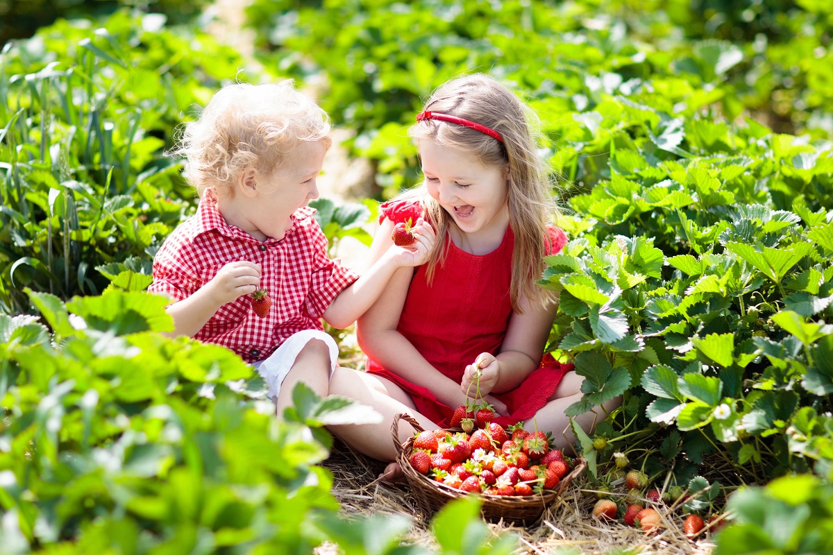 The-Ecology-Center’s-TASTE-Festival-is-Among-The-Top-Things-to-do-in-Orange-County-This-Month