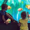 Put-visiting-one-of-the-aquariums-on-your-list-of-things-to-do-in-Orange-County