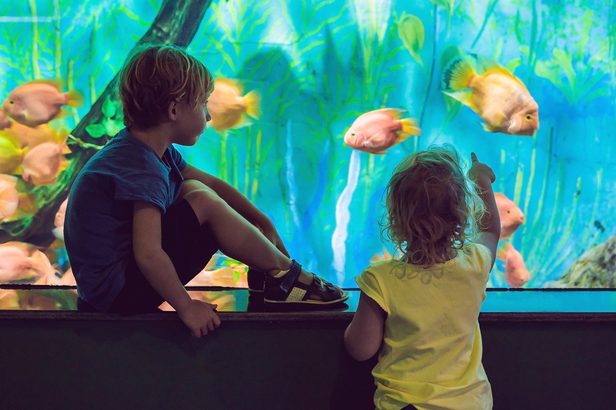 Put-visiting-one-of-the-aquariums-on-your-list-of-things-to-do-in-Orange-County