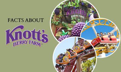 Things-to-do-in-Orange-County-at-Knotts-Berry-Farm