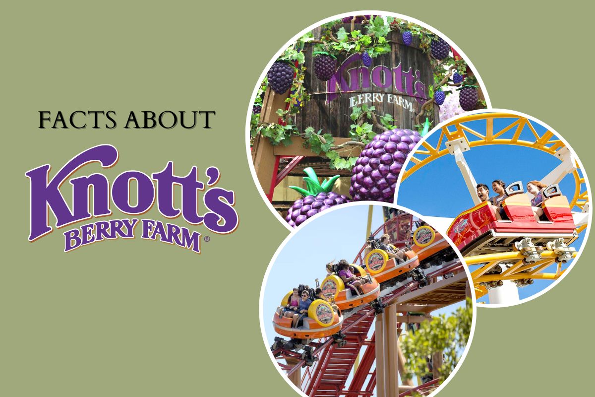 Things-to-do-in-Orange-County-at-Knotts-Berry-Farm