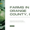 Why-not-visit-a-farm-the-next-time-you-need-some-Orange-County-events-to-go-to