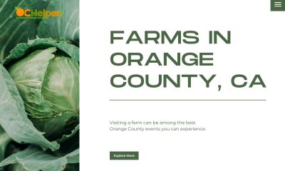 Why-not-visit-a-farm-the-next-time-you-need-some-Orange-County-events-to-go-to