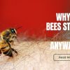 hire-an-Orange-County-bee-removal-service-to-prevent-being-stung-by-bees