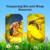 learn-the-difference-between-bee-and-wasp-removal-1200-×-800