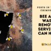 eliminate-chimney-problem-with-bee-and-wasp-removal