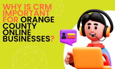 There is a cartoon man with a headset sitting behind a laptop. Beside him is the article title, "Why is CRM Important for Orange County Online Businesses."
