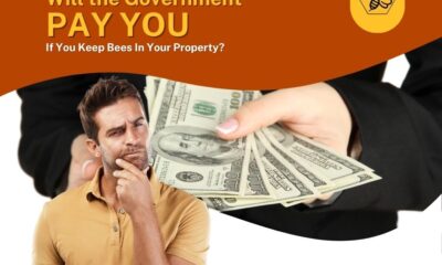Will-the-Government-Pay-You-if-You-Keep-Bees-on-Your-Property