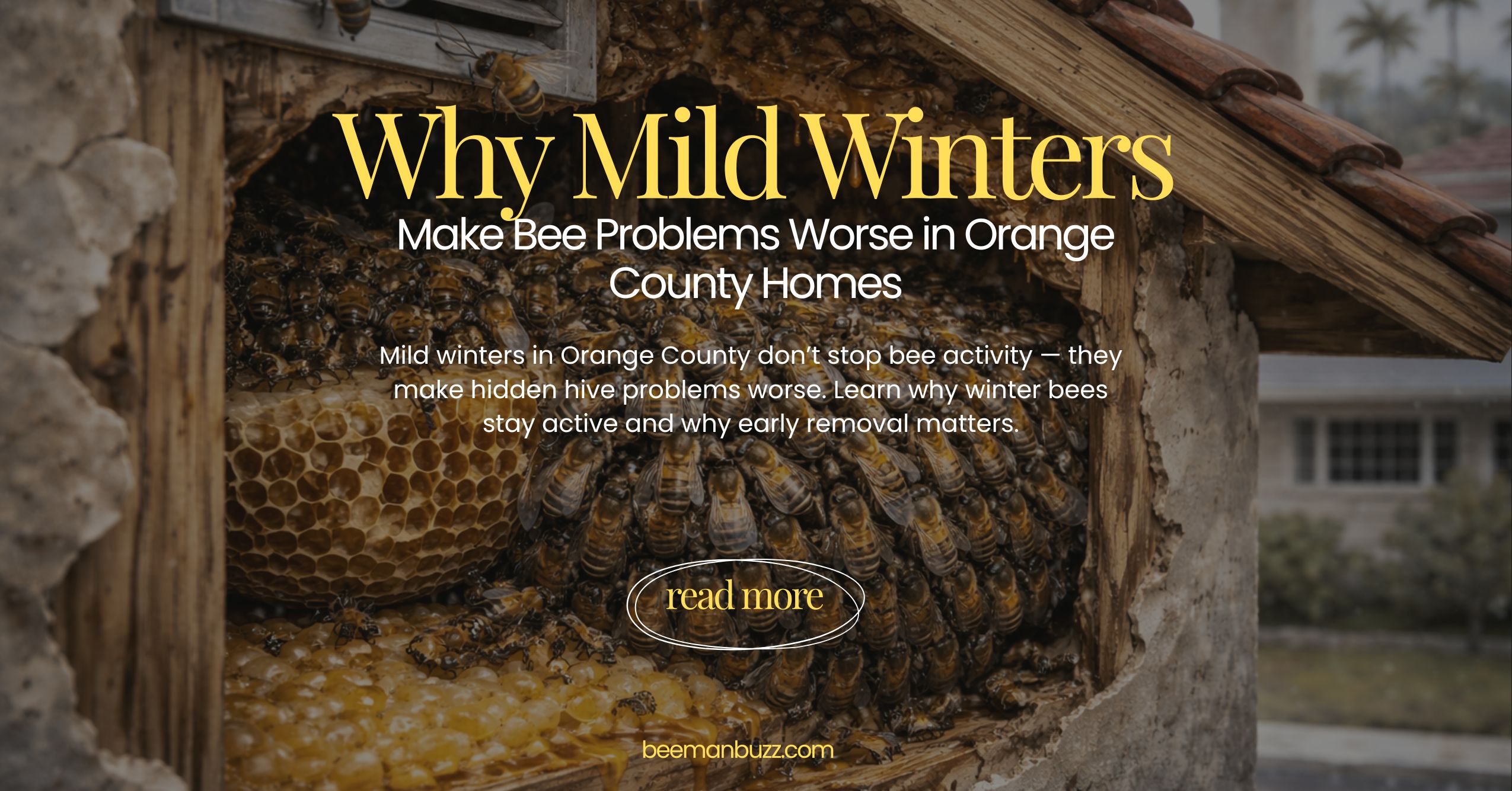 Why-Mild-Winters-Make-Bee-Problems-Worse-in-Orange-County-Homes-1200-x-628
