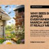 Why-Bees-Suddenly-Appear-Everywhere-in-March-And-What-It-Really-Means-website-scaled