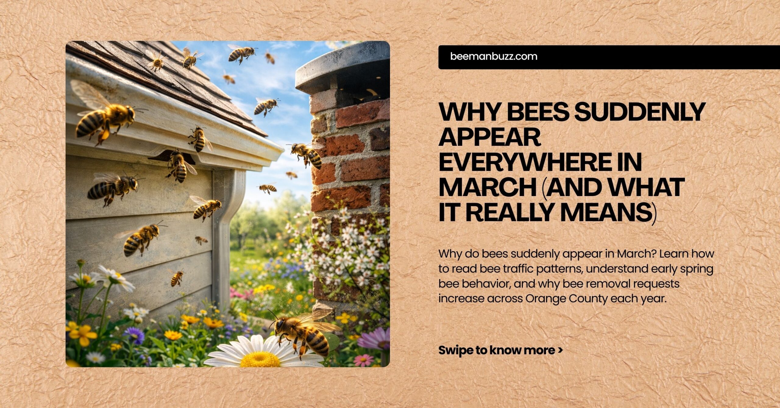 Why-Bees-Suddenly-Appear-Everywhere-in-March-And-What-It-Really-Means-website-scaled