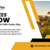 Why-Bees-Follow-the-Same-Flight-Path-Every-Day