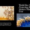 World-Bee-Day-Why-Protecting-Bees-Matters-More-Than-Ever-website