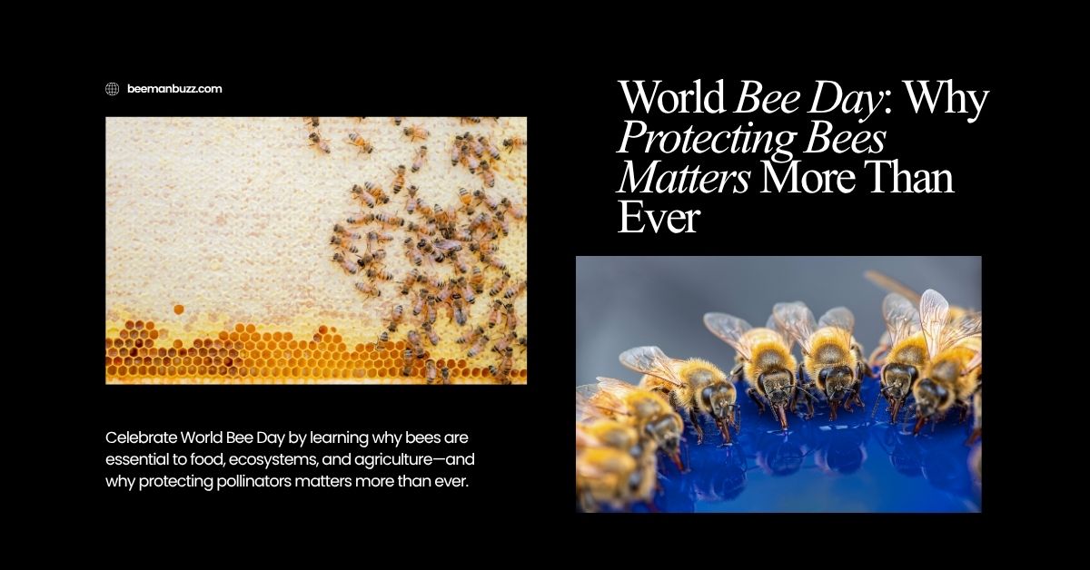 World-Bee-Day-Why-Protecting-Bees-Matters-More-Than-Ever-website