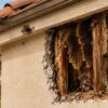 Honeycomb-left-inside-an-exposed-wall-and-roof-cavity-of-an-Orange-County-home-after-bee-removal